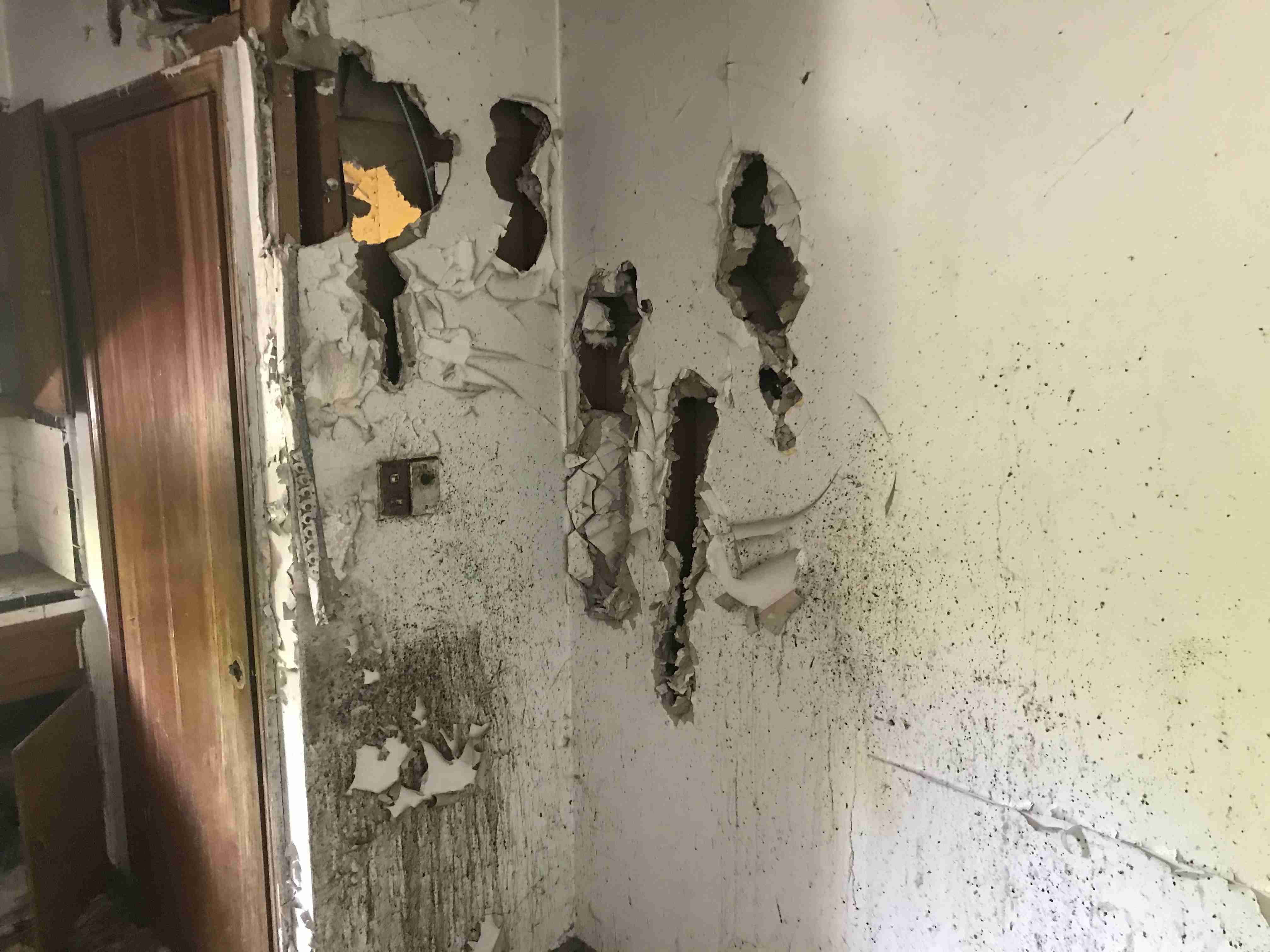 Photo Aug 20, 1 29 51 PM.jpg